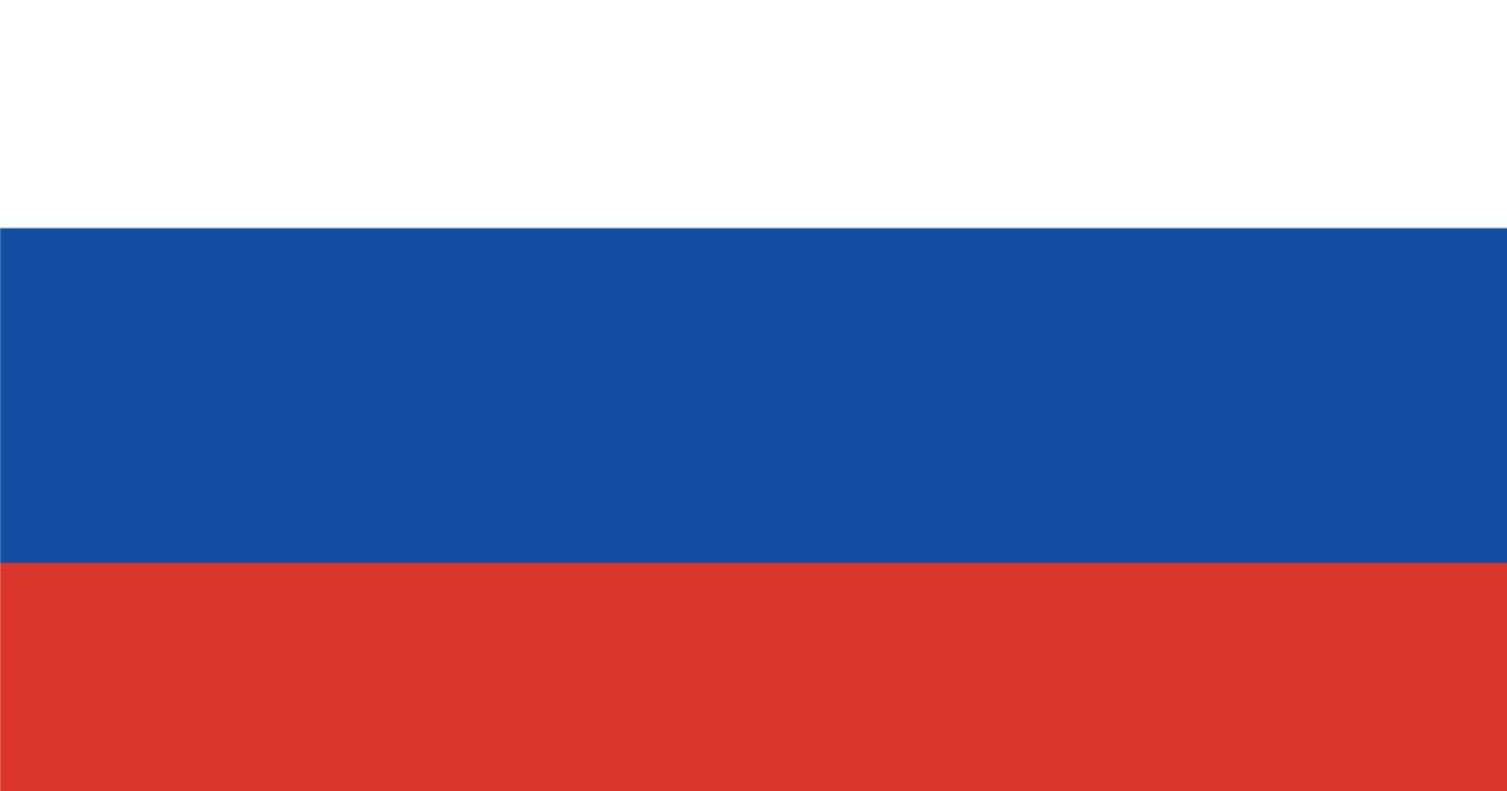 Section 4: Putin's Political Calculation