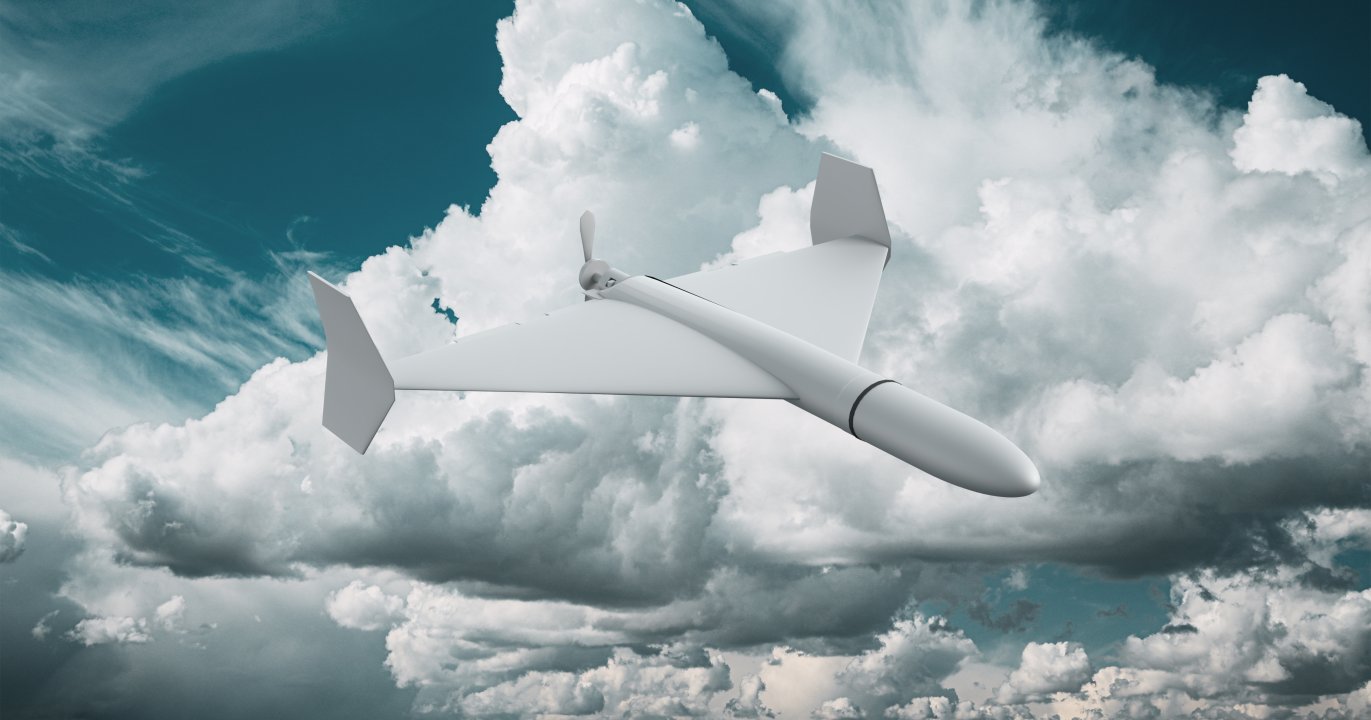 The Strategic Divergence at the Heart of the Crisis